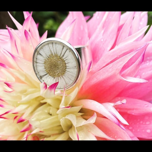 Real Daisy ring - Picture 2 of 3